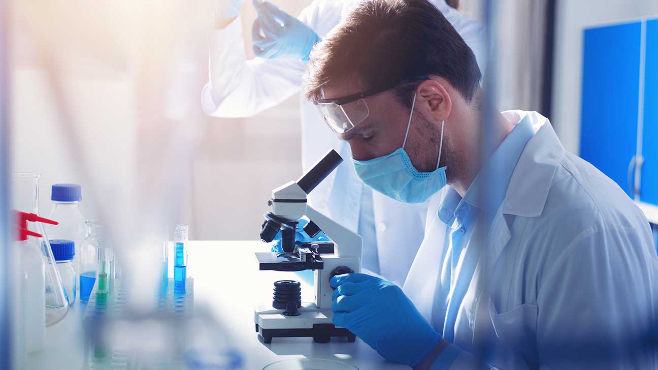 Scientists working in laboratory